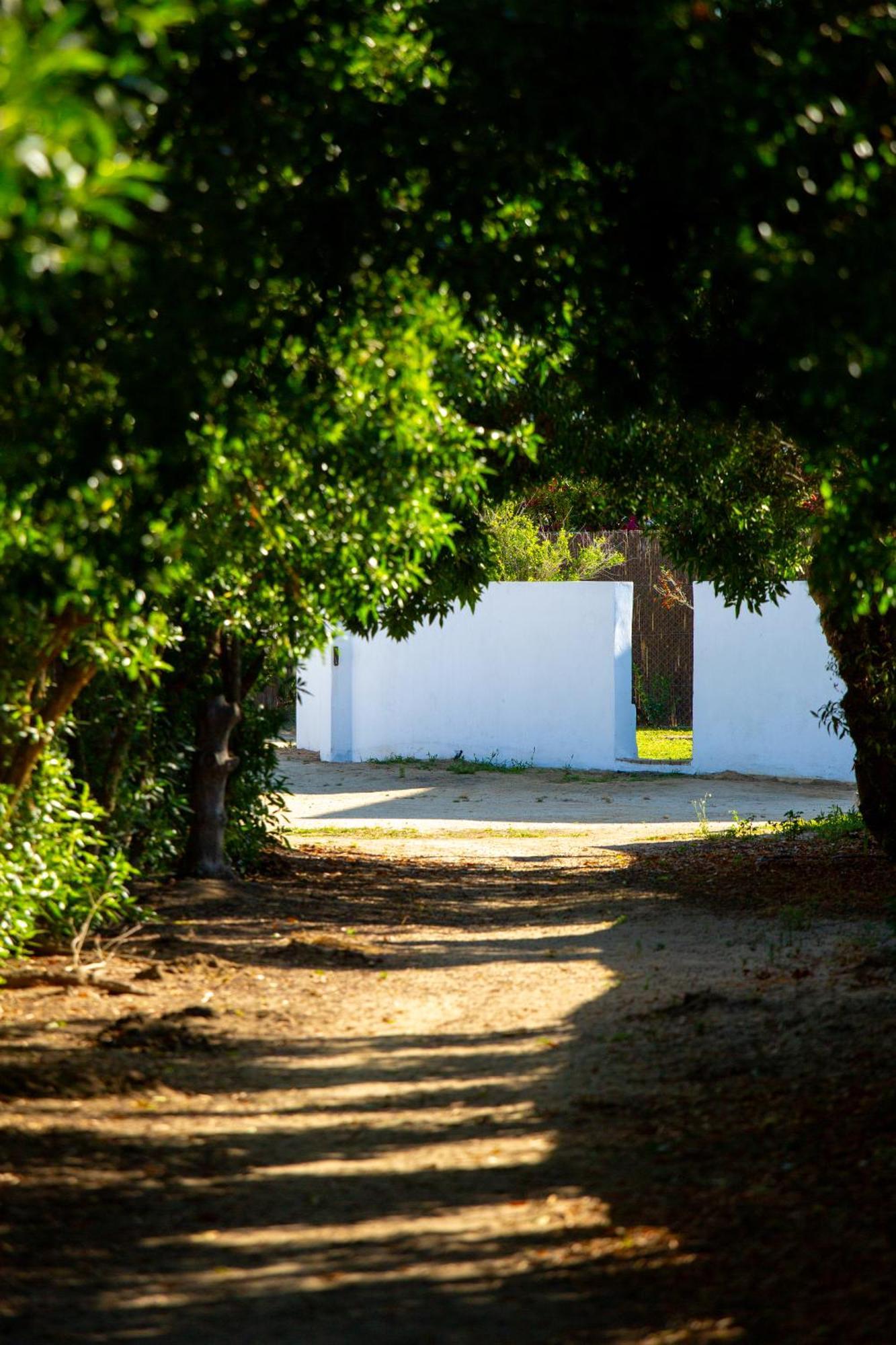 Casara Dos - 2 Dormitorios - Torre Con Acceso Privado A La Playa De Zahora Eksteriør bilde