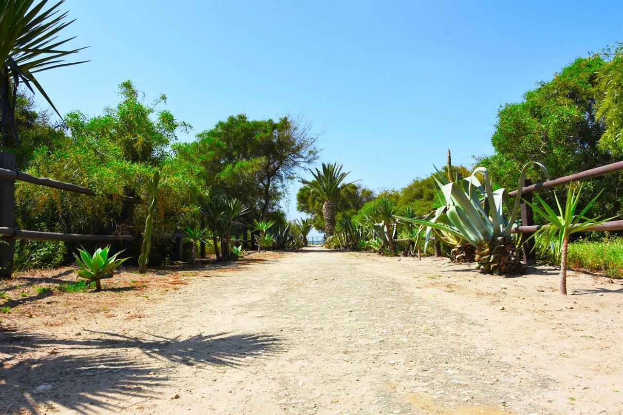 Casara Dos - 2 Dormitorios - Torre Con Acceso Privado A La Playa De Zahora Eksteriør bilde